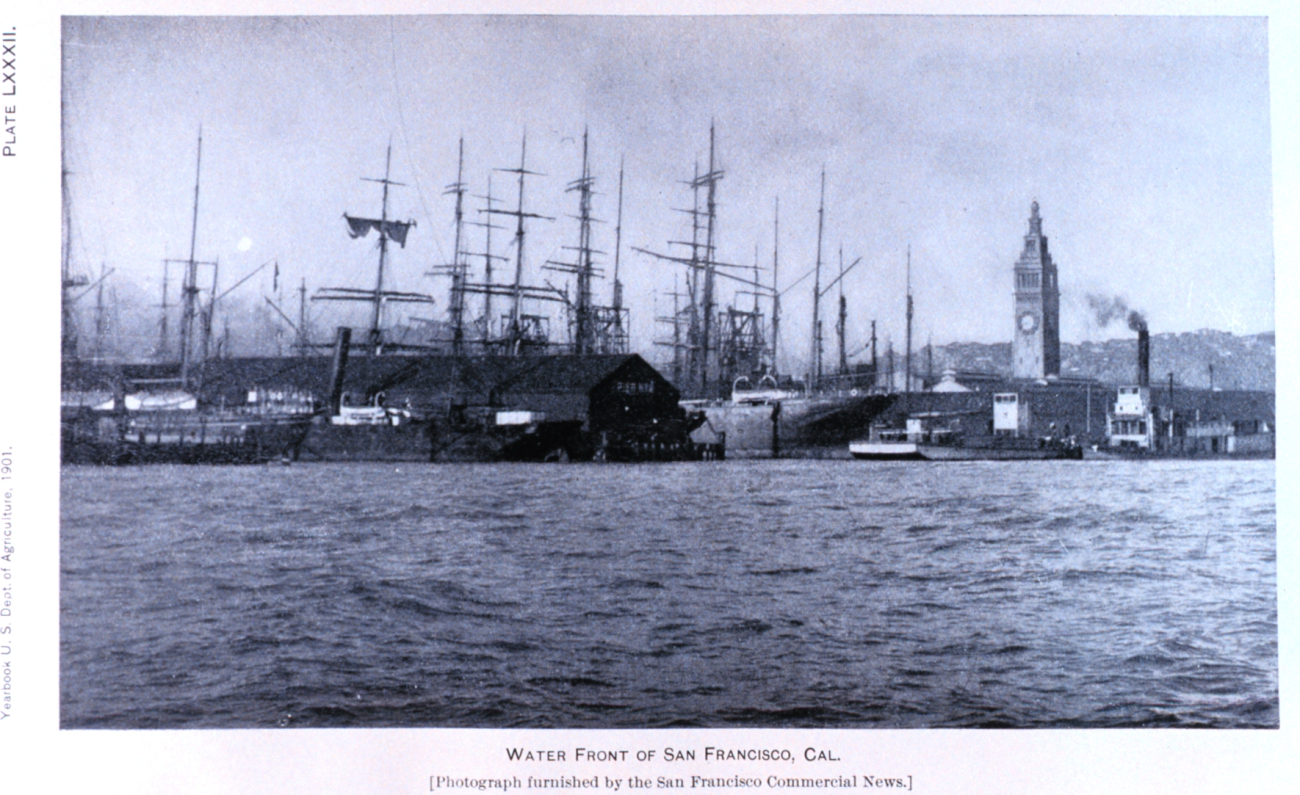 San Francisco waterfront as seen in: Wheat Ports of the Pacific Coast by Edwin S