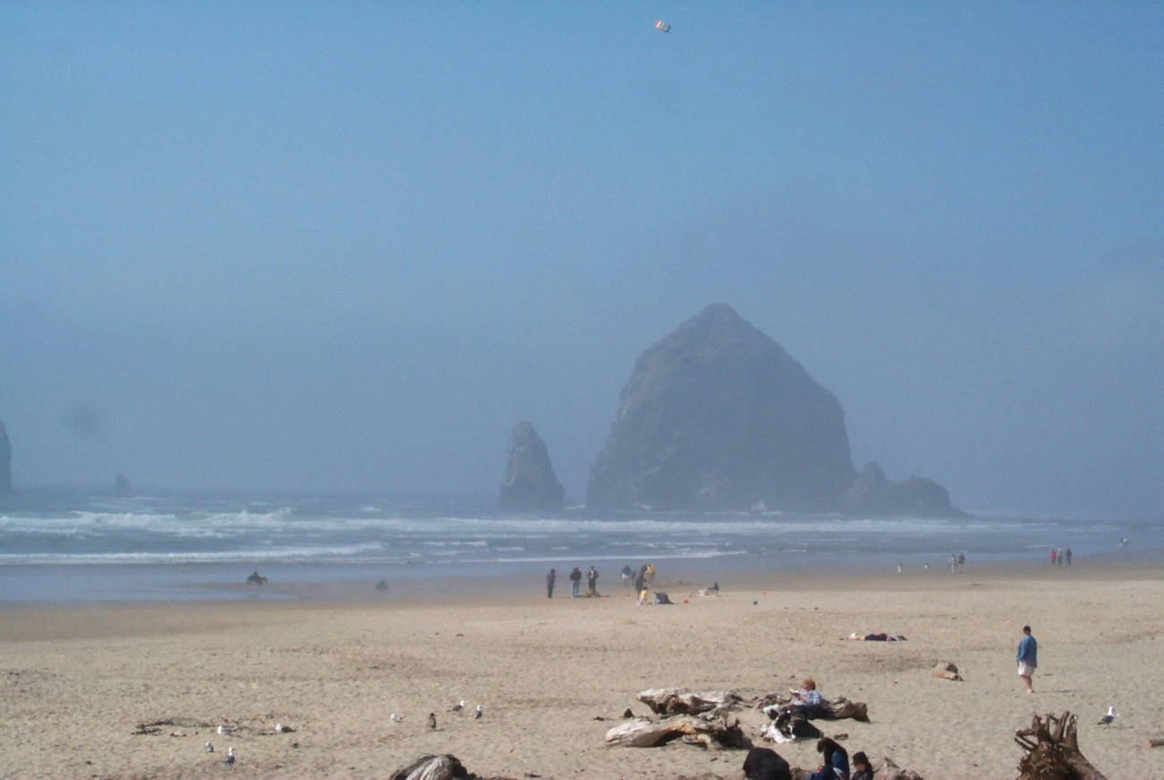 Haystack Rock at Cannon Beach on a misty day