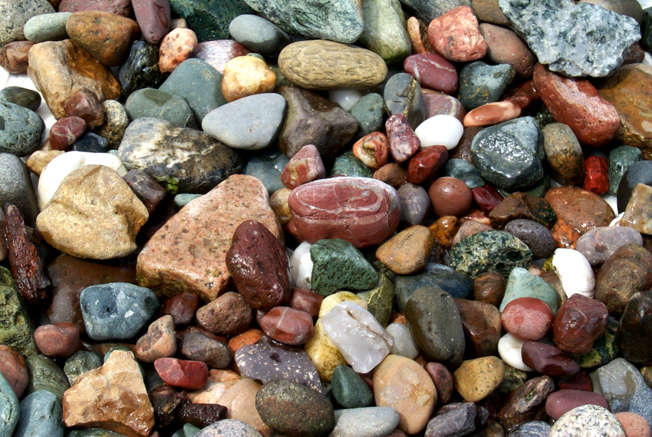Random rocks picked up on the beach at Gig Harbor