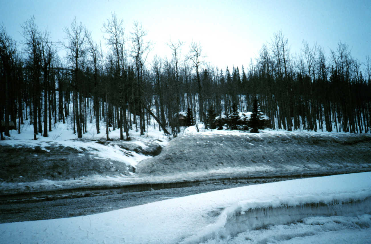 A scene along the Seward Highway