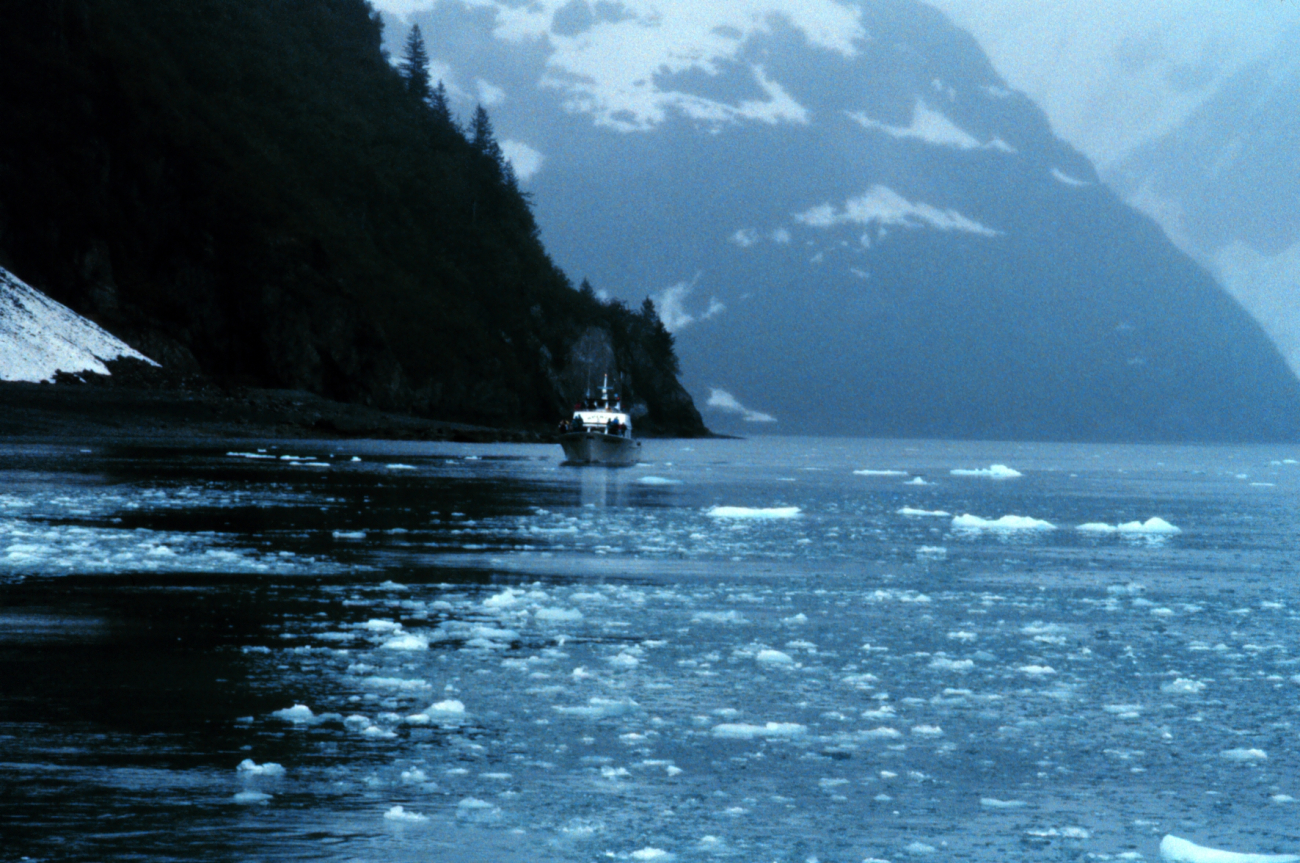 Cruise boat dwarfed in Kenai Fjords