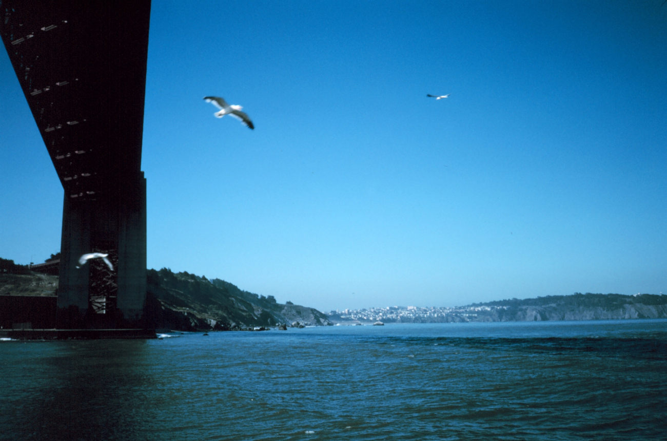 The Golden Gate Bridge as seen from a small boat at mid-span looking to thenorth