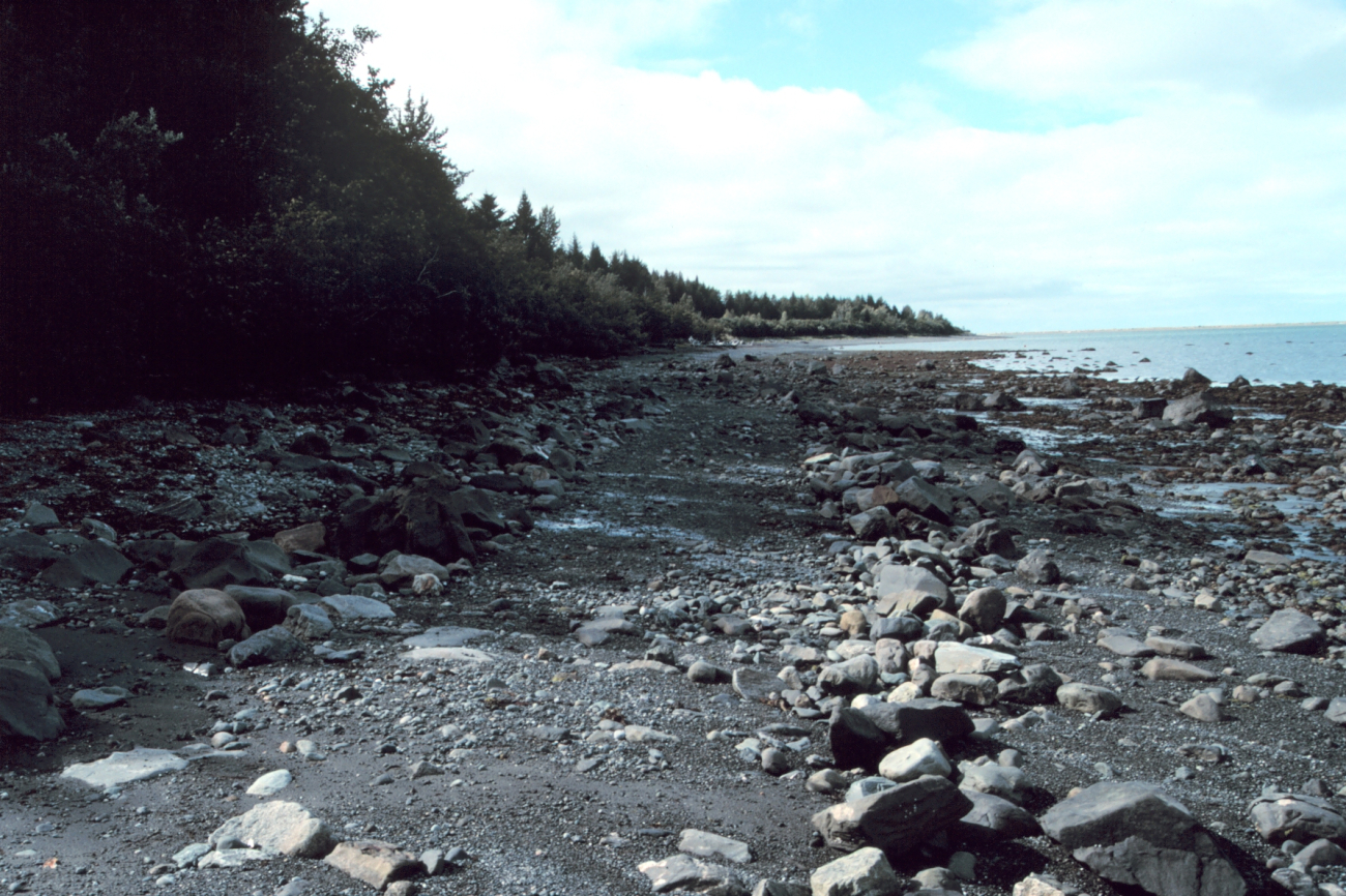 A beach of glacial debris in the Icy Bay area