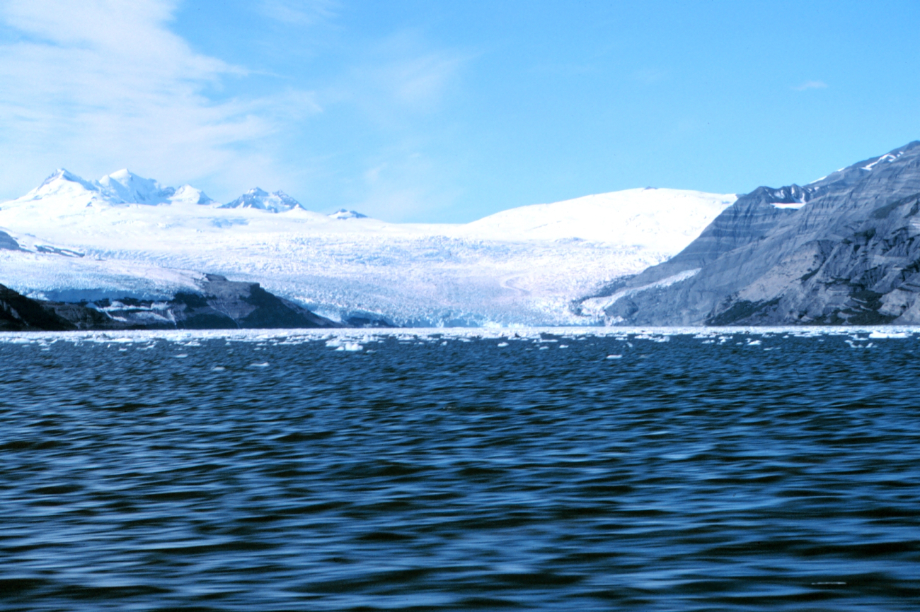 A glacier making its way to the sea in Icy Bay