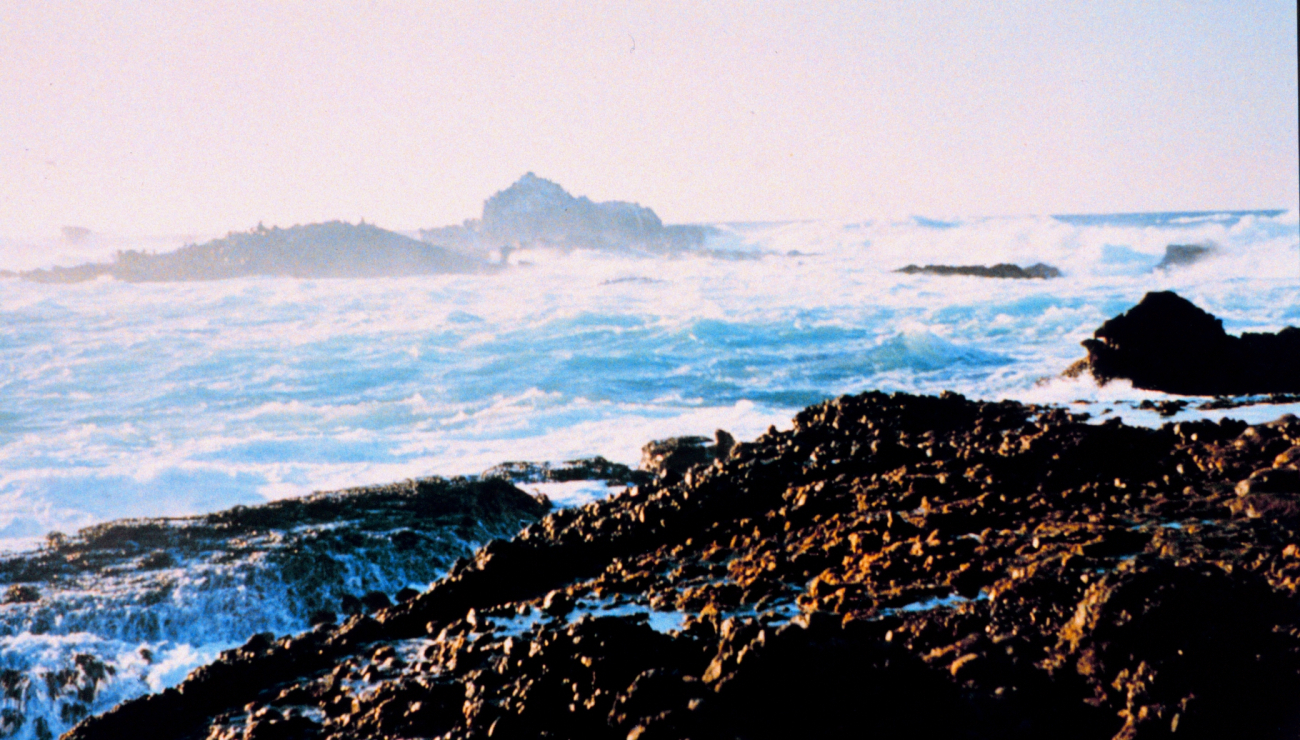 Surf, rock, and spray define Point Lobos