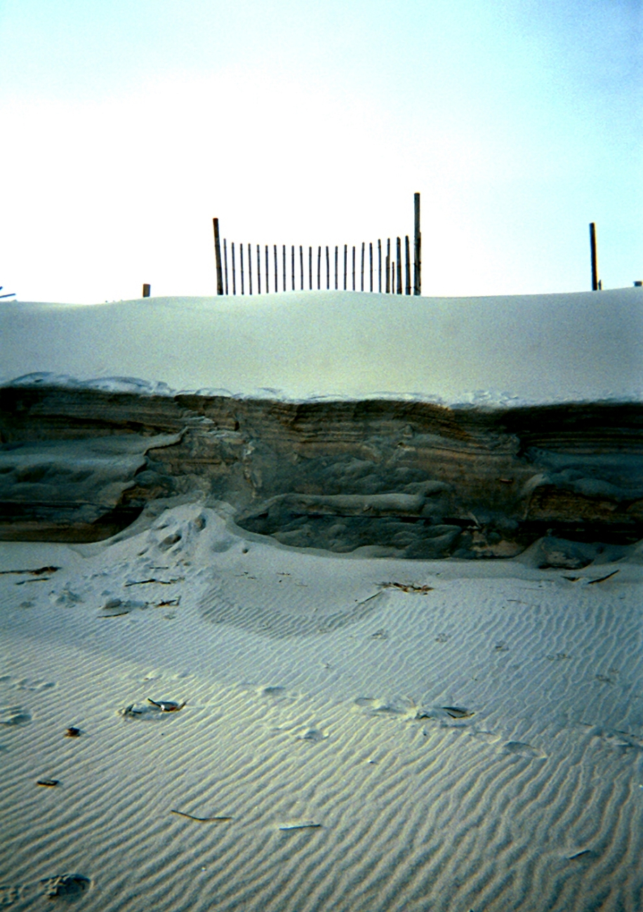 Horizontal sand laminations show along eroding dune