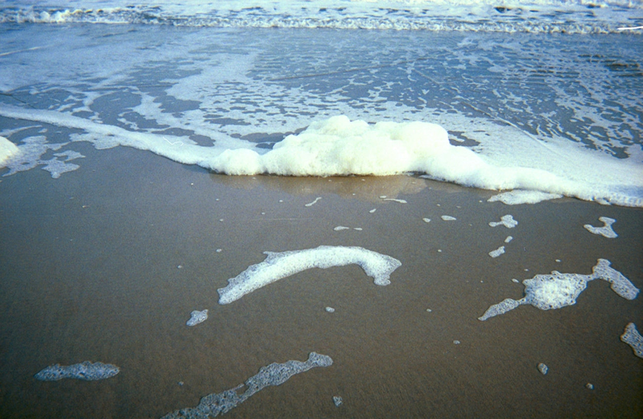 Sea foam being spread shoreward by the incoming waves