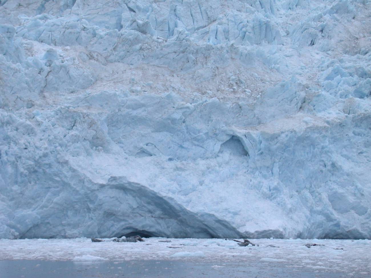 Aialik Glacier in Kenai Fjords