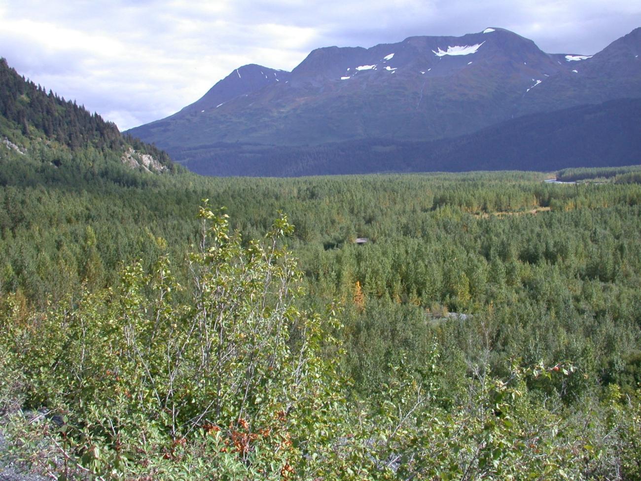 Moose Pass area between Seward and Anchorage