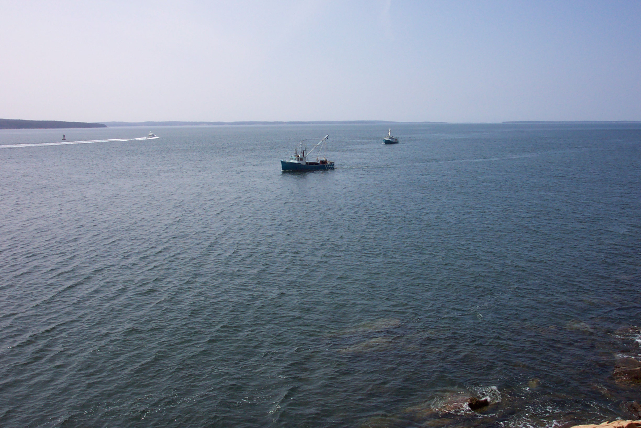 Lobster boats working off of Bass Harbor Head