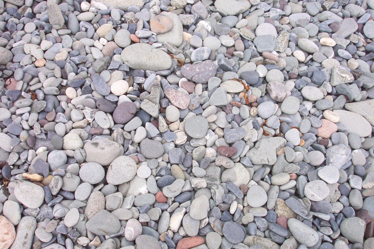 Multi-colored rocks on the cobble beach at West Quoddy Head