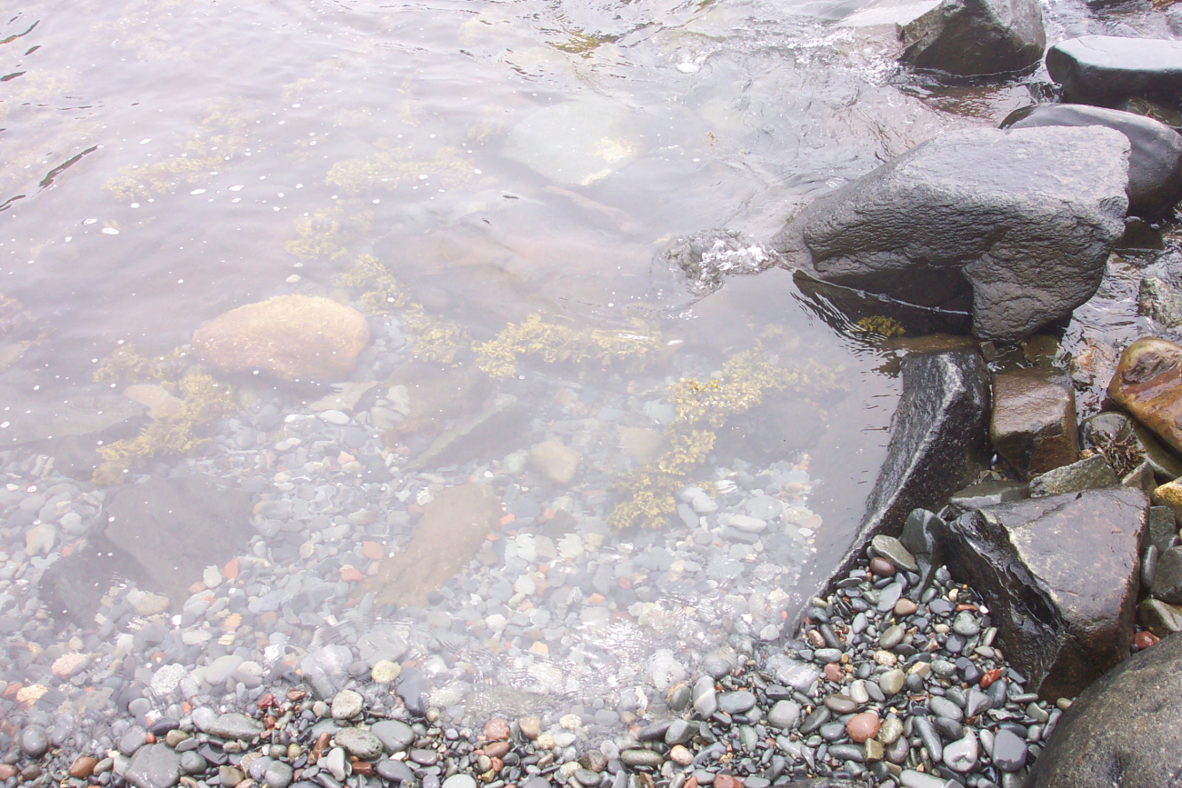 Looking into a tide pool at West Quoddy Head