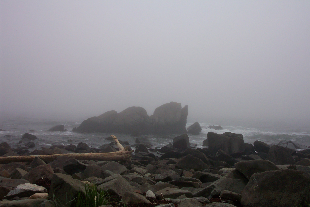 Part of a foggy rocky shoreline at West Quoddy Head