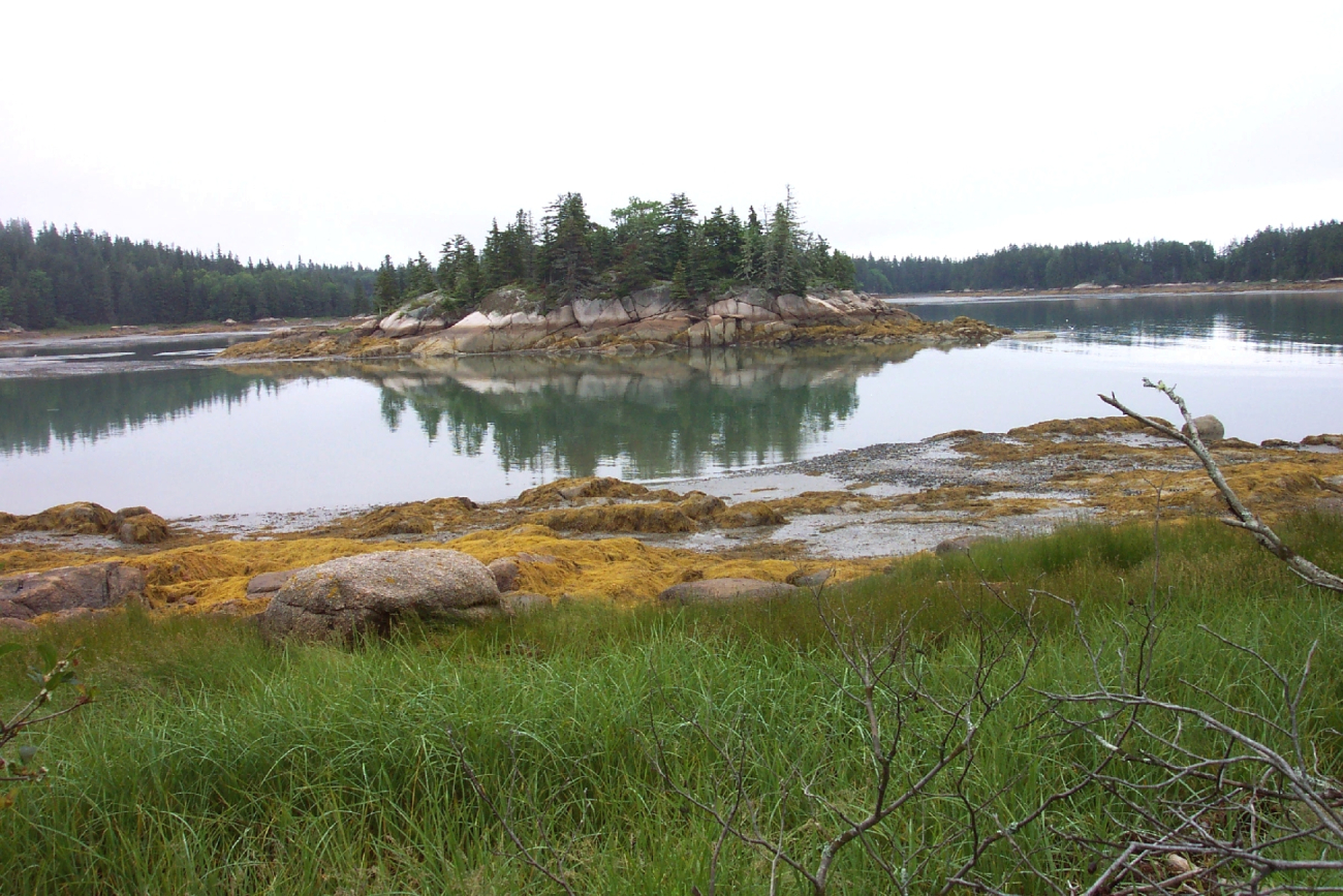 A rocky islet reflected in the low tide waters