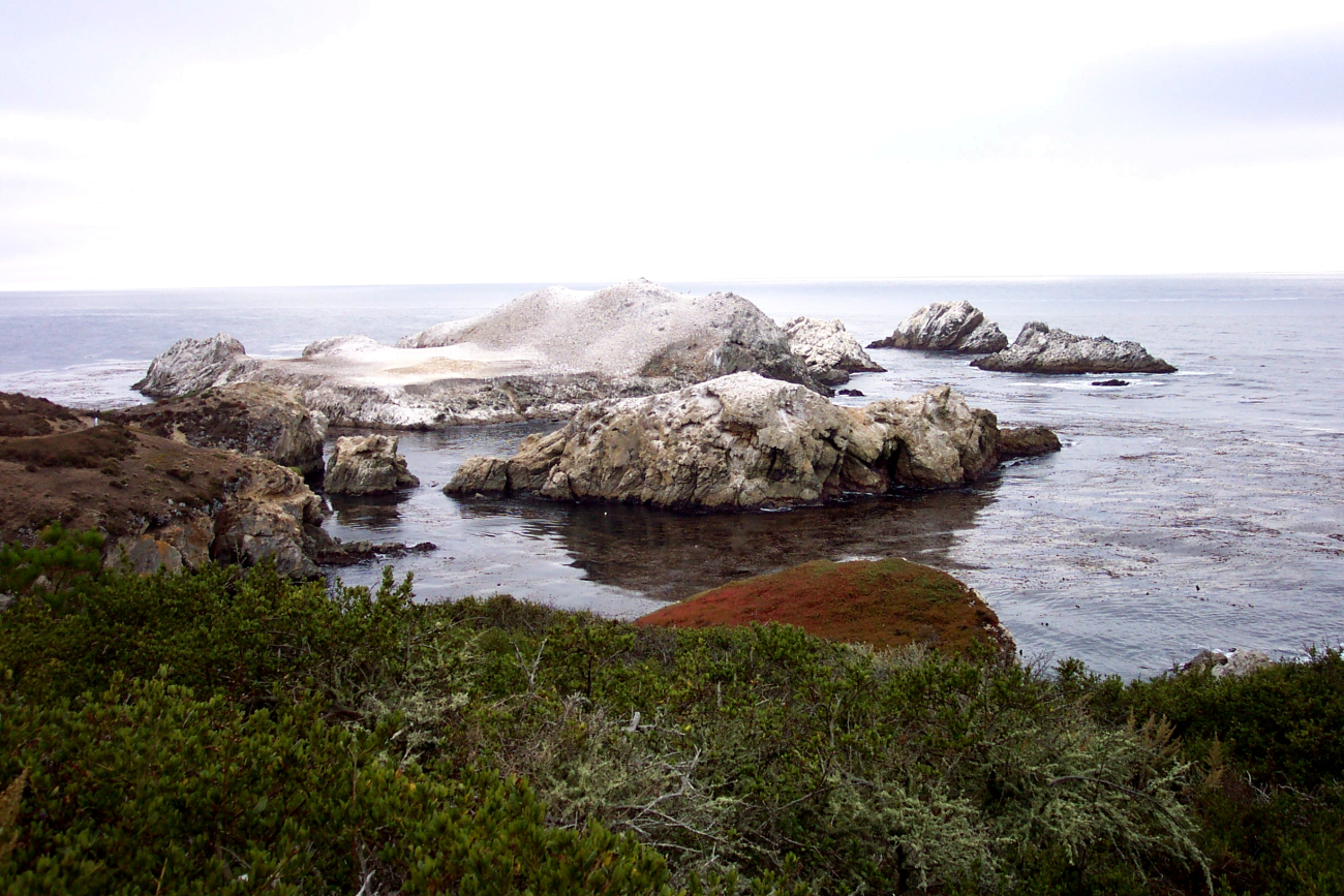 Bird Rock at the south end of Point Lobos State Reserve