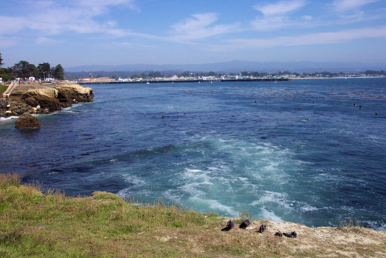 The Santa Cruz wharf with Loma Prieta in the background as seen fromLighthouse Point