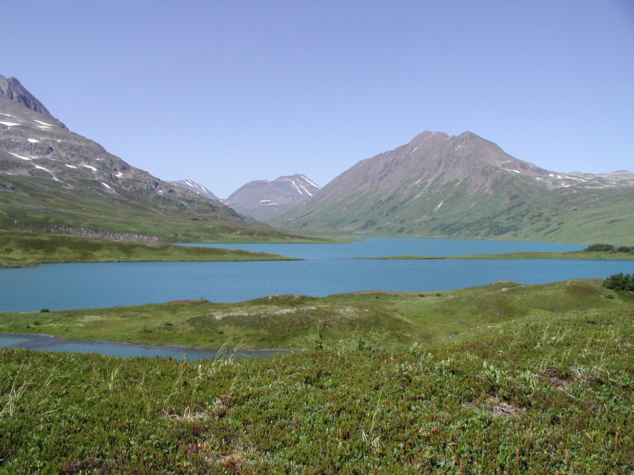 On the Alaska Peninsula in the vicinity of Kuiutka Bay