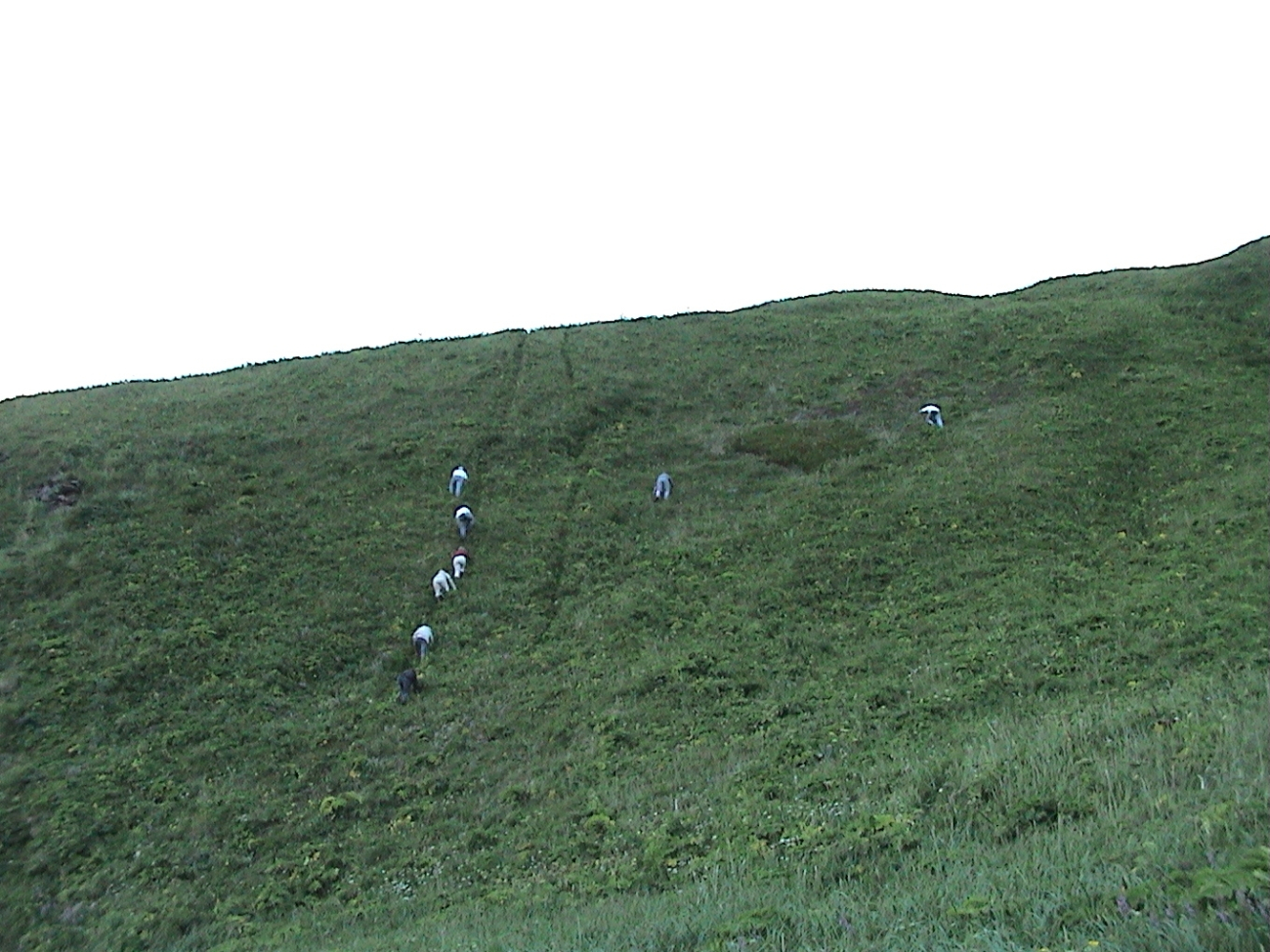 Climbing the hill for posterior sledding at Gunnysack Island
