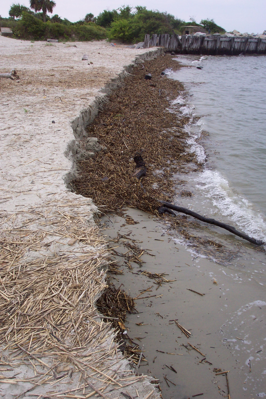Erosion near Fort Moultrie