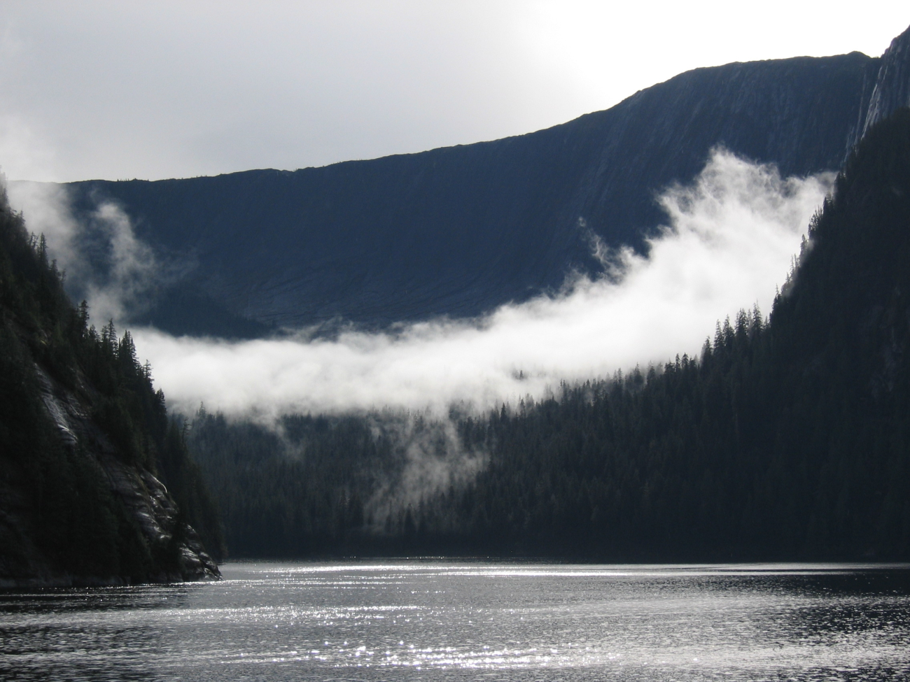 A ribbon of cloud draped across a glacial valley in the Rudyerd Bay area whilesunlight sparkles on the water