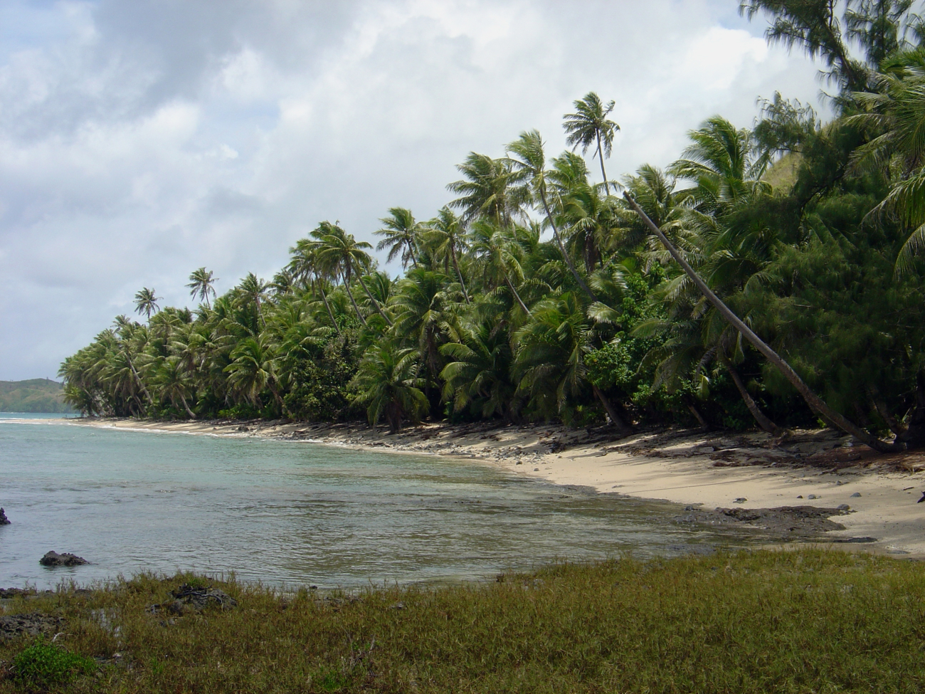 A palm-lined jungle coastline on Guam