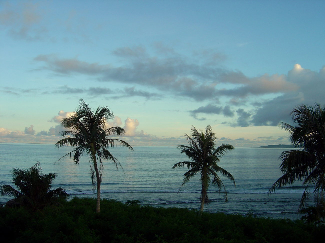 Palm trees, cloud, and sea at the end of the day on Guam