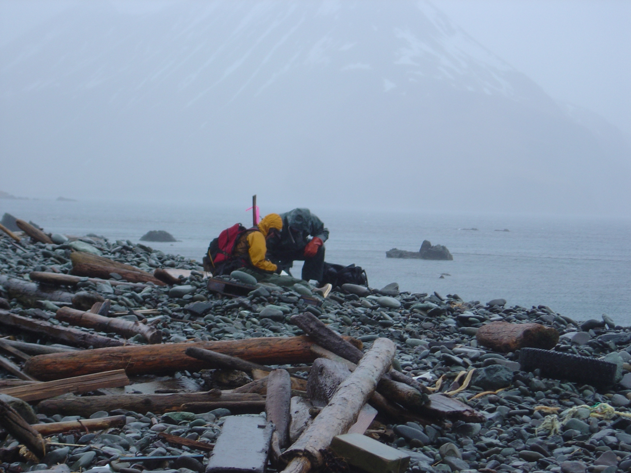 Beach survey team inspecting shoreline on a nasty day