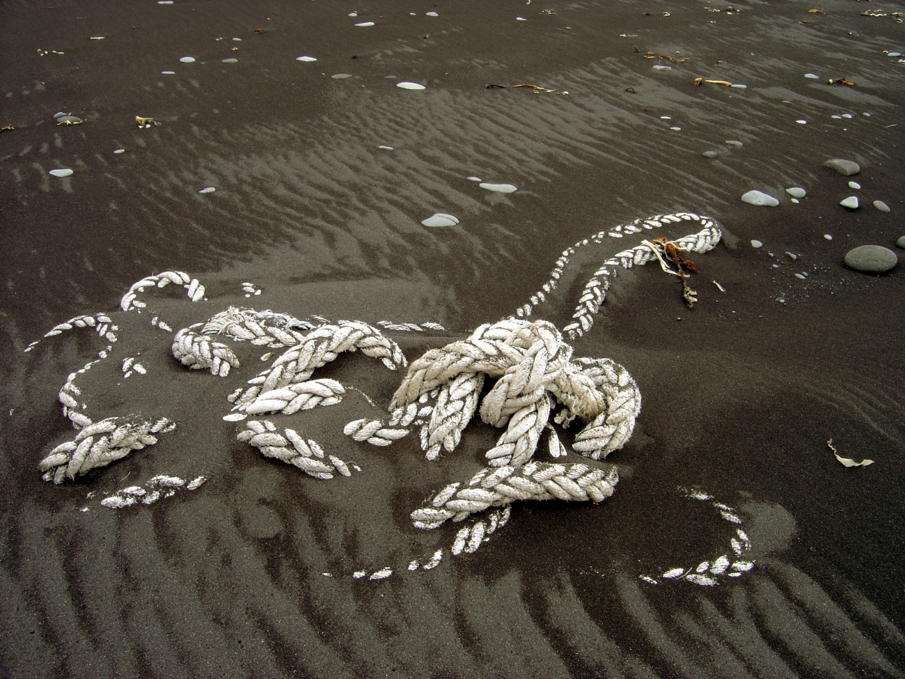 Marine debris on a black volcanic sand beach