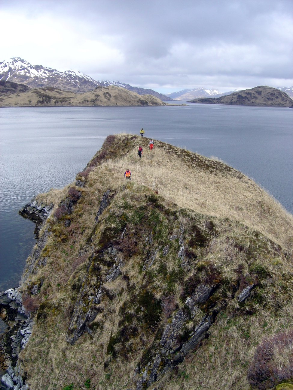 Shoreline survey team on Unalaska Island