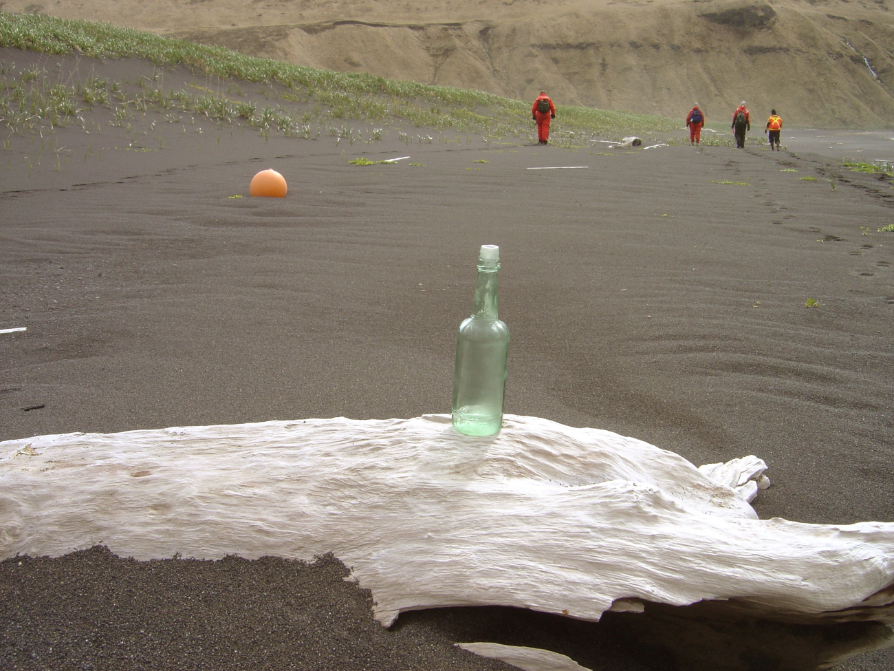 Bottle found during beach debris survey