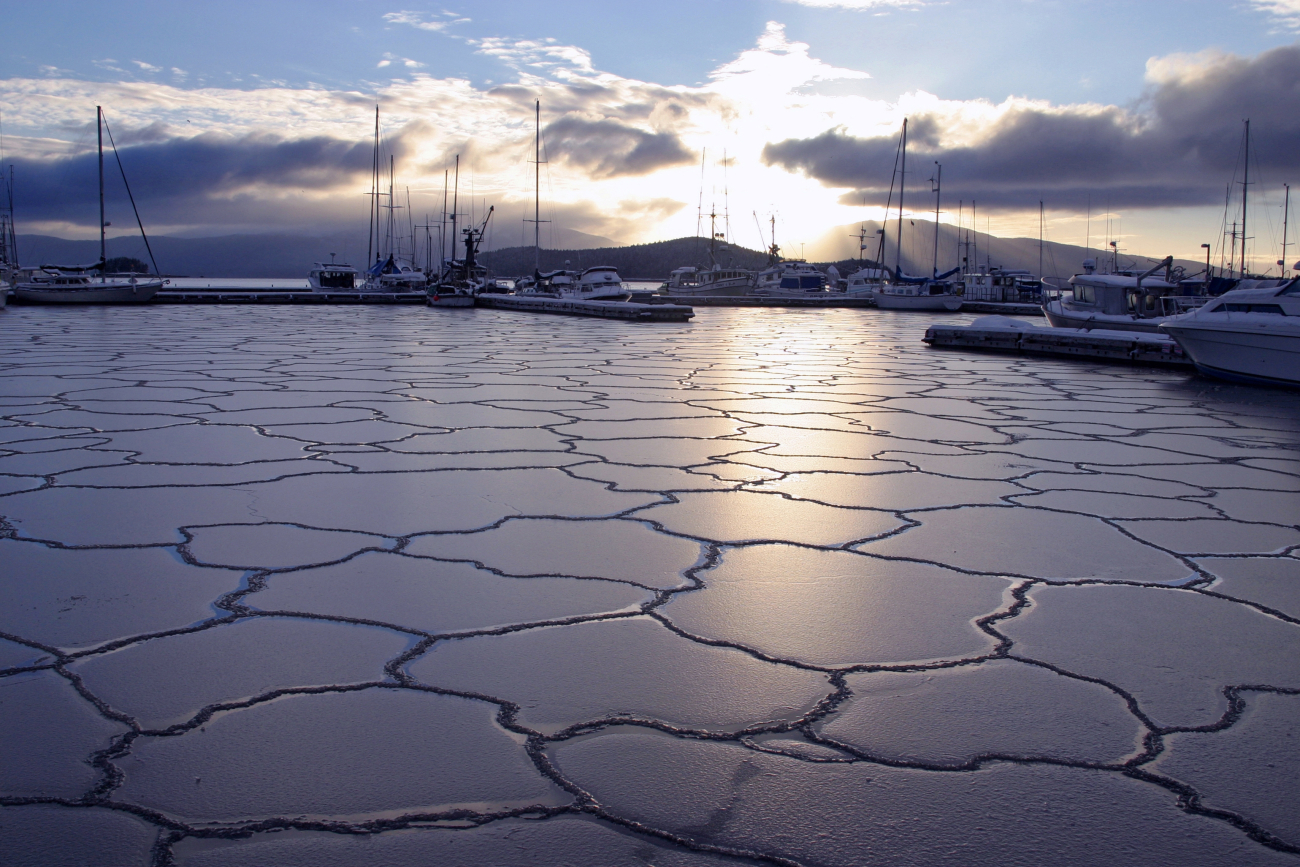 Ice-covered Auke Bay Harbor in winter