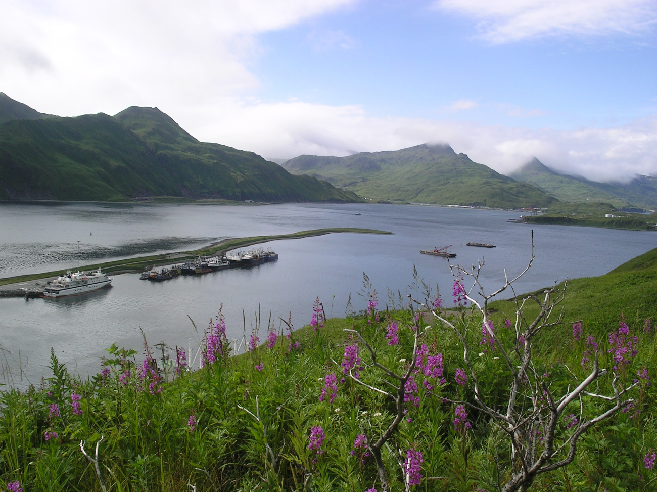 View of part of Dutch Harbor from Mt