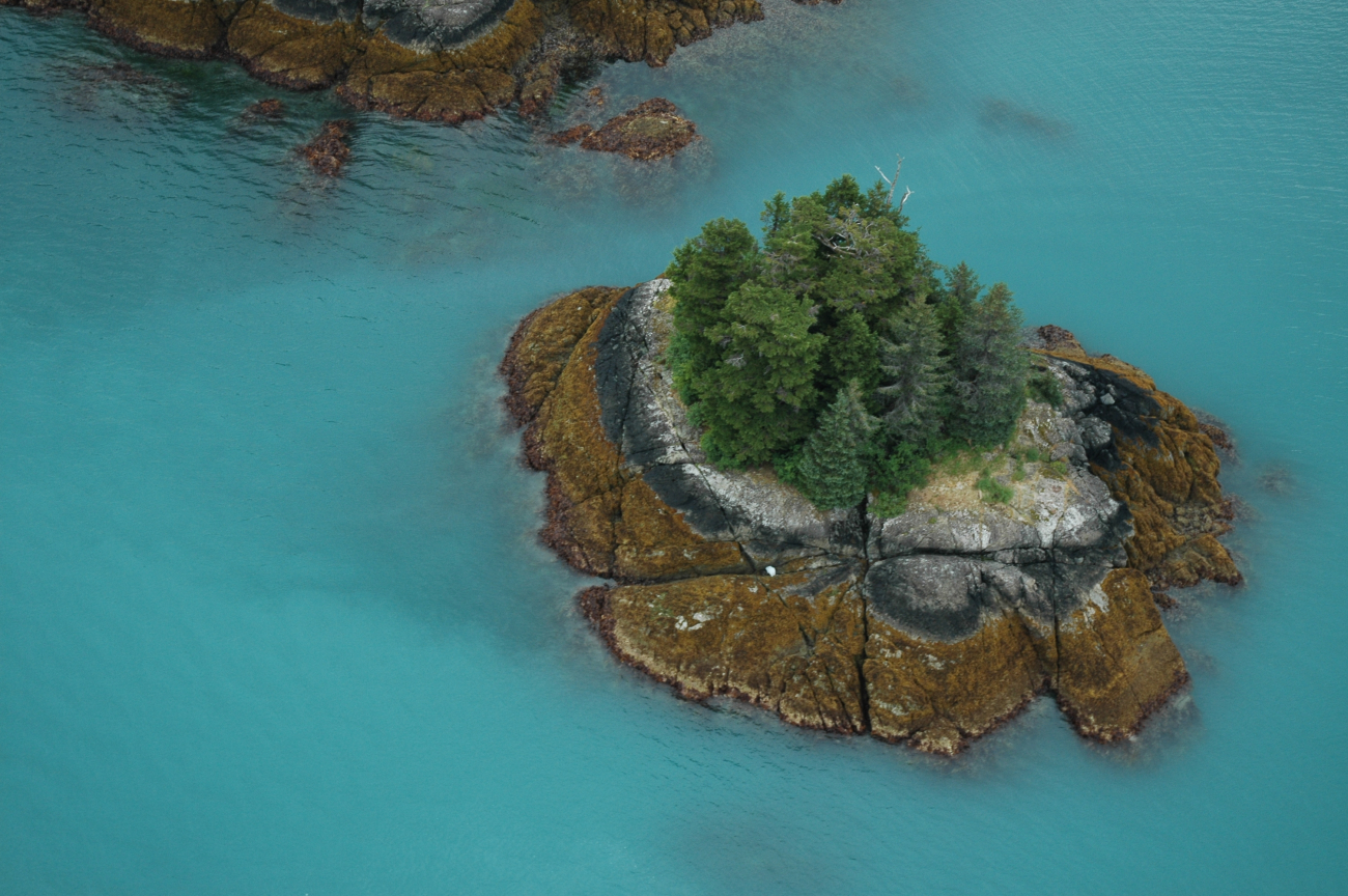 An almost round island in Prince William Sound as seen from the air at a lowtide