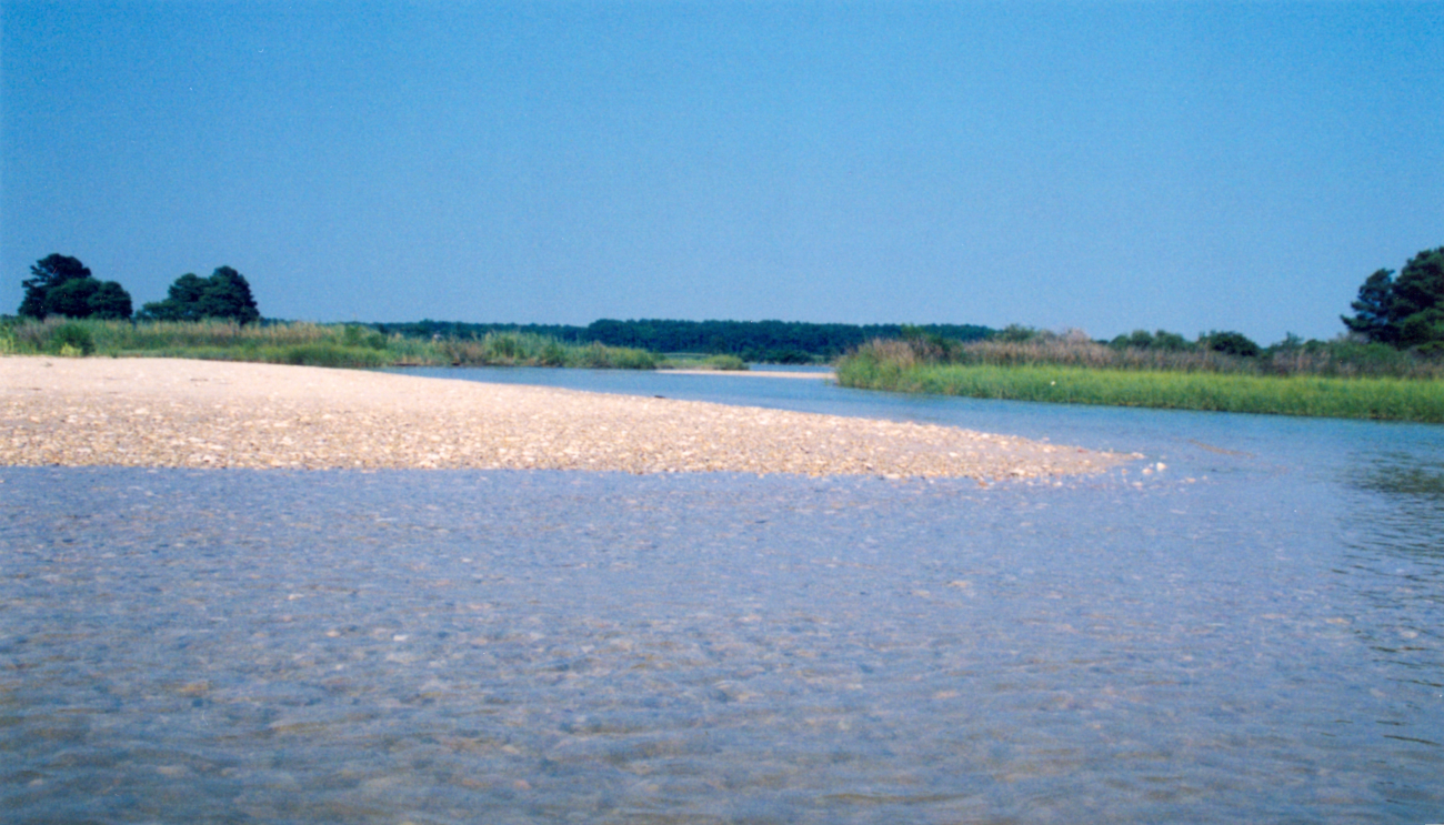 A sandbar and various grasses protect the entrance to a creek entering thePotomac River