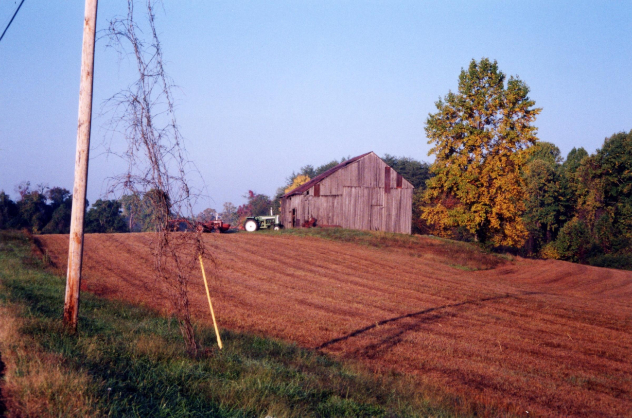 A Chesapeake Bay area farm on a bright fall evening