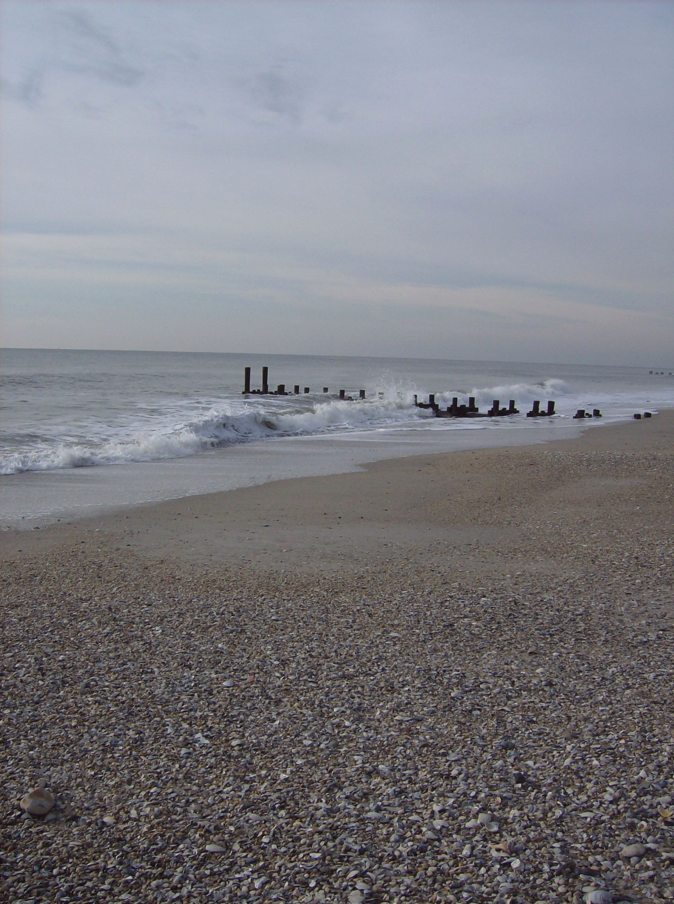 Apparent remains of pier on the shores of Cape May