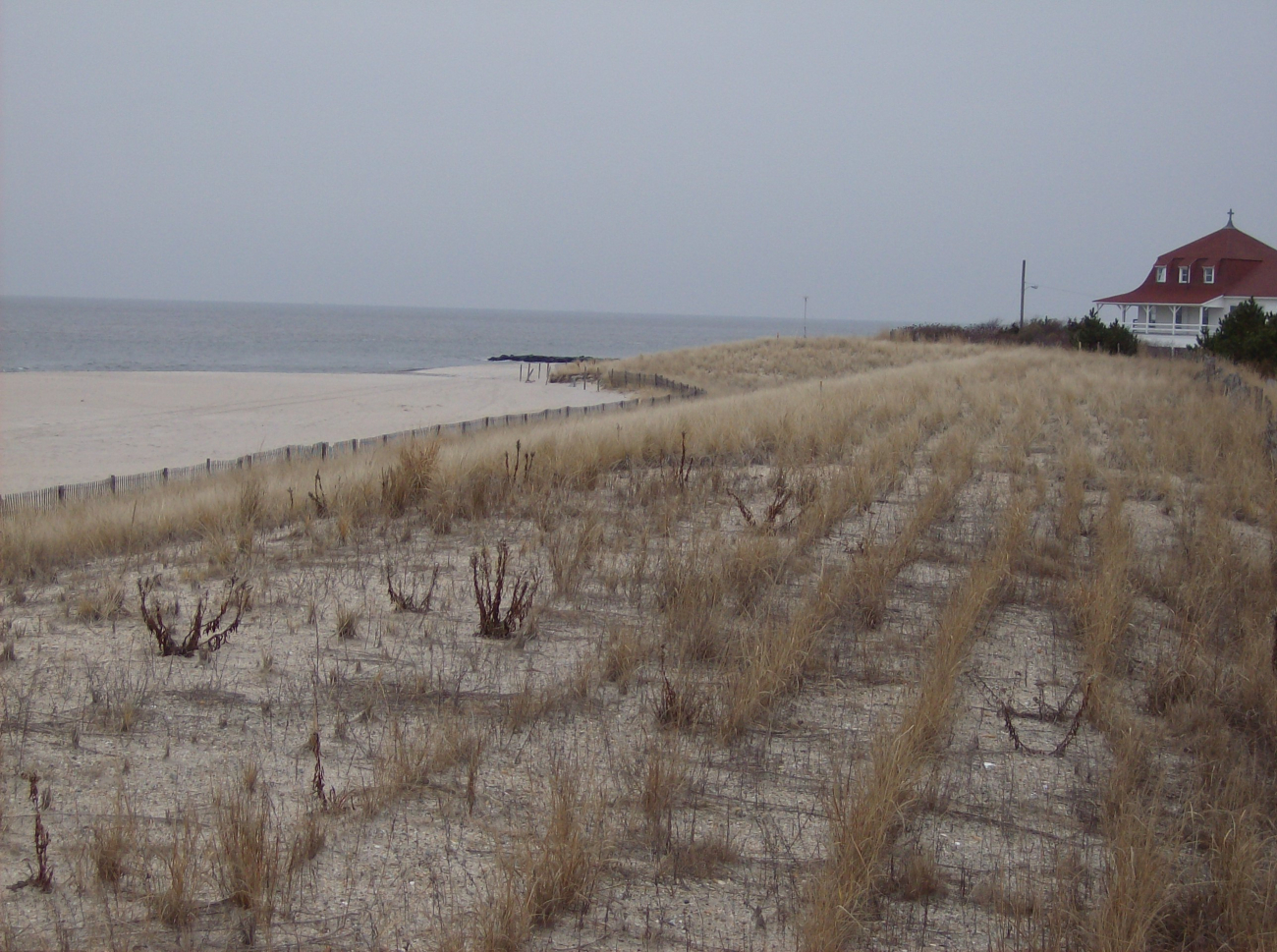 Dunes at Cape May