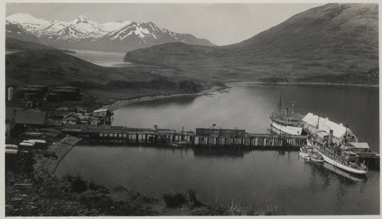 A view of the harbor of Dutch Harbor