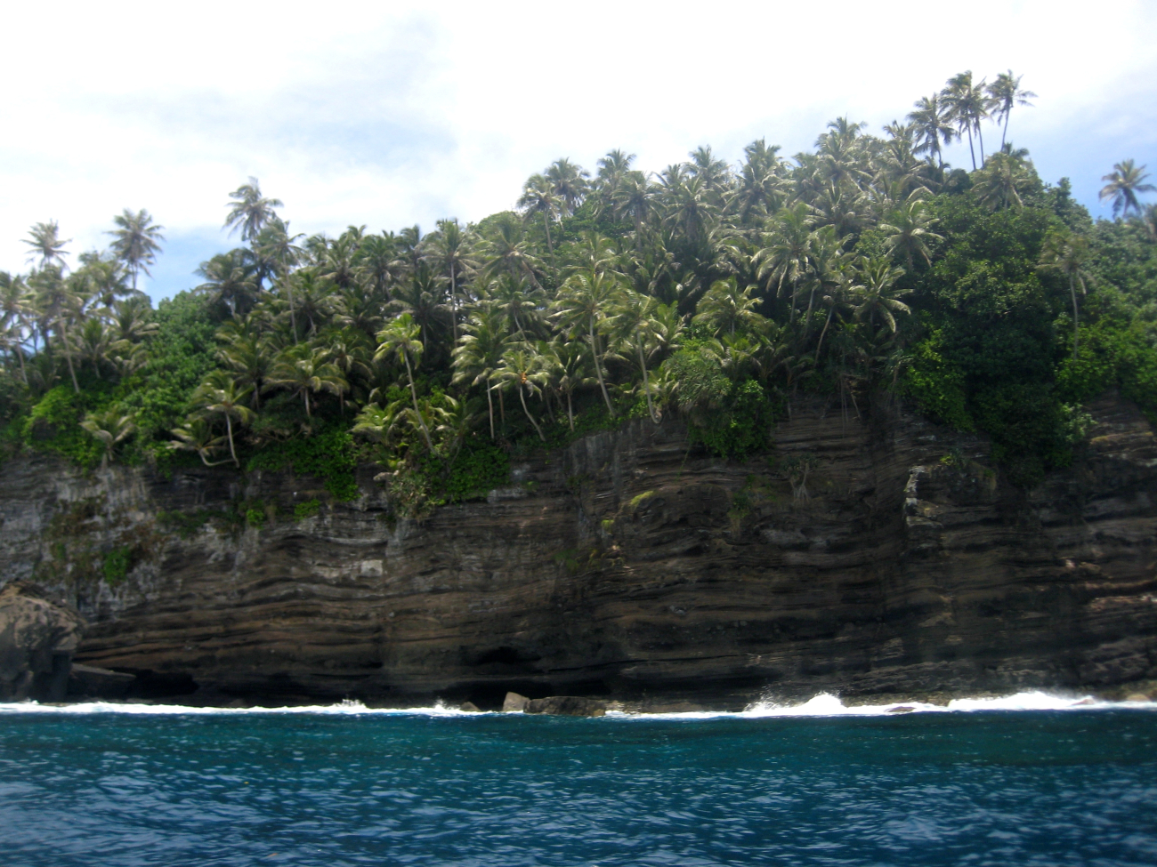 Cliffs and palm trees at Larsen's Bay