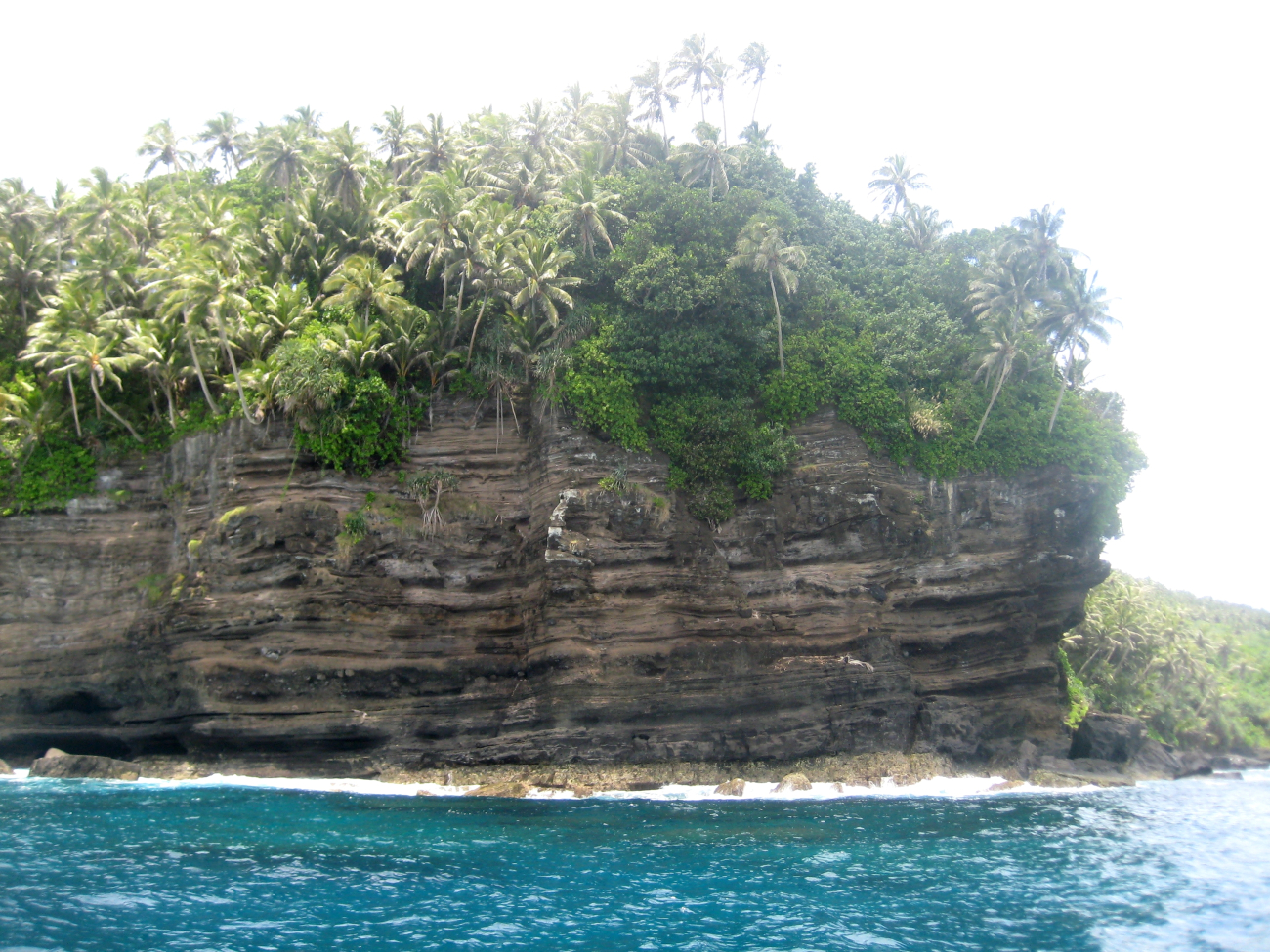 Cliffs and palm trees at Larsen's Bay