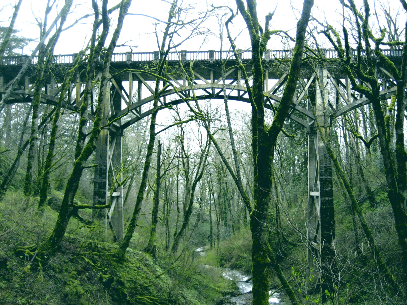 The old highway bridge at Multnomah Falls covered in moss
