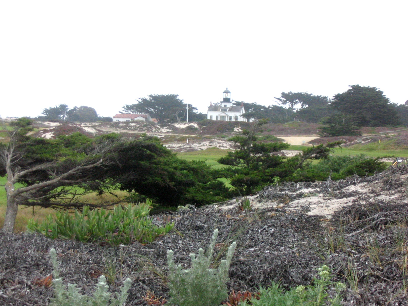 The Point Pinos Lighthouse seen over the Asilomar Dunes