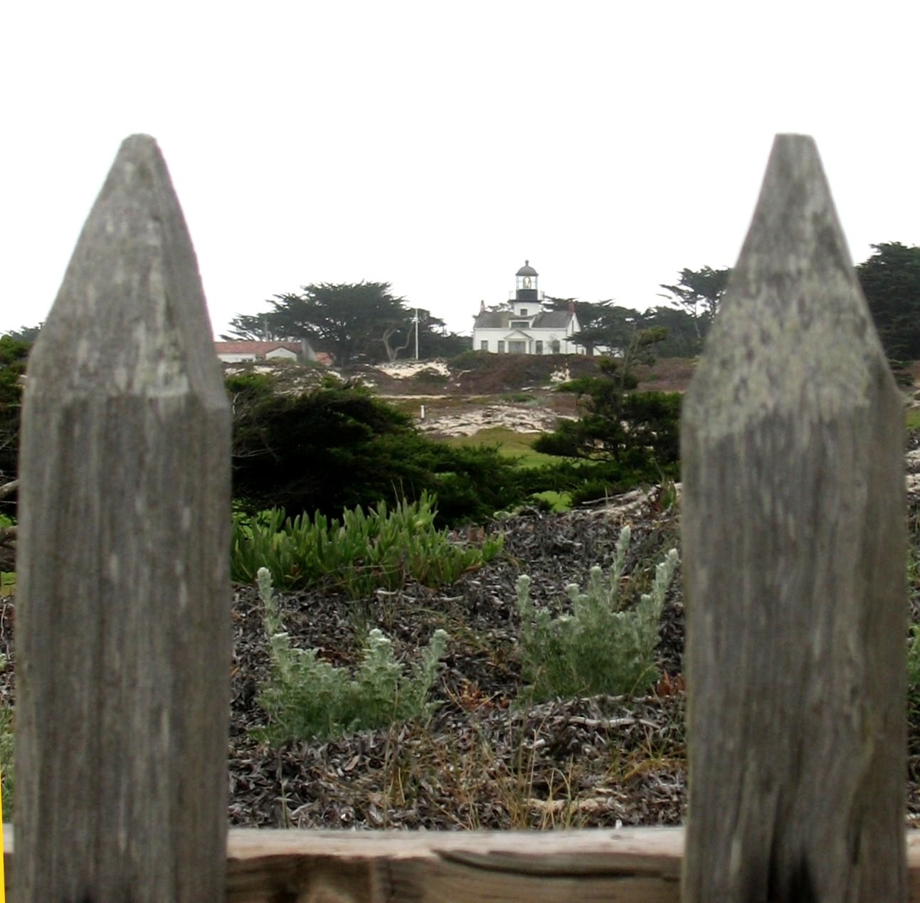 The Point Pinos Lighthouse bracketed between fence posts on theAsilomar Dunes