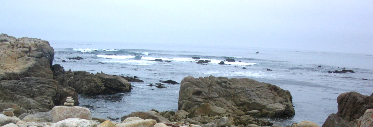 A vista of rock and surf