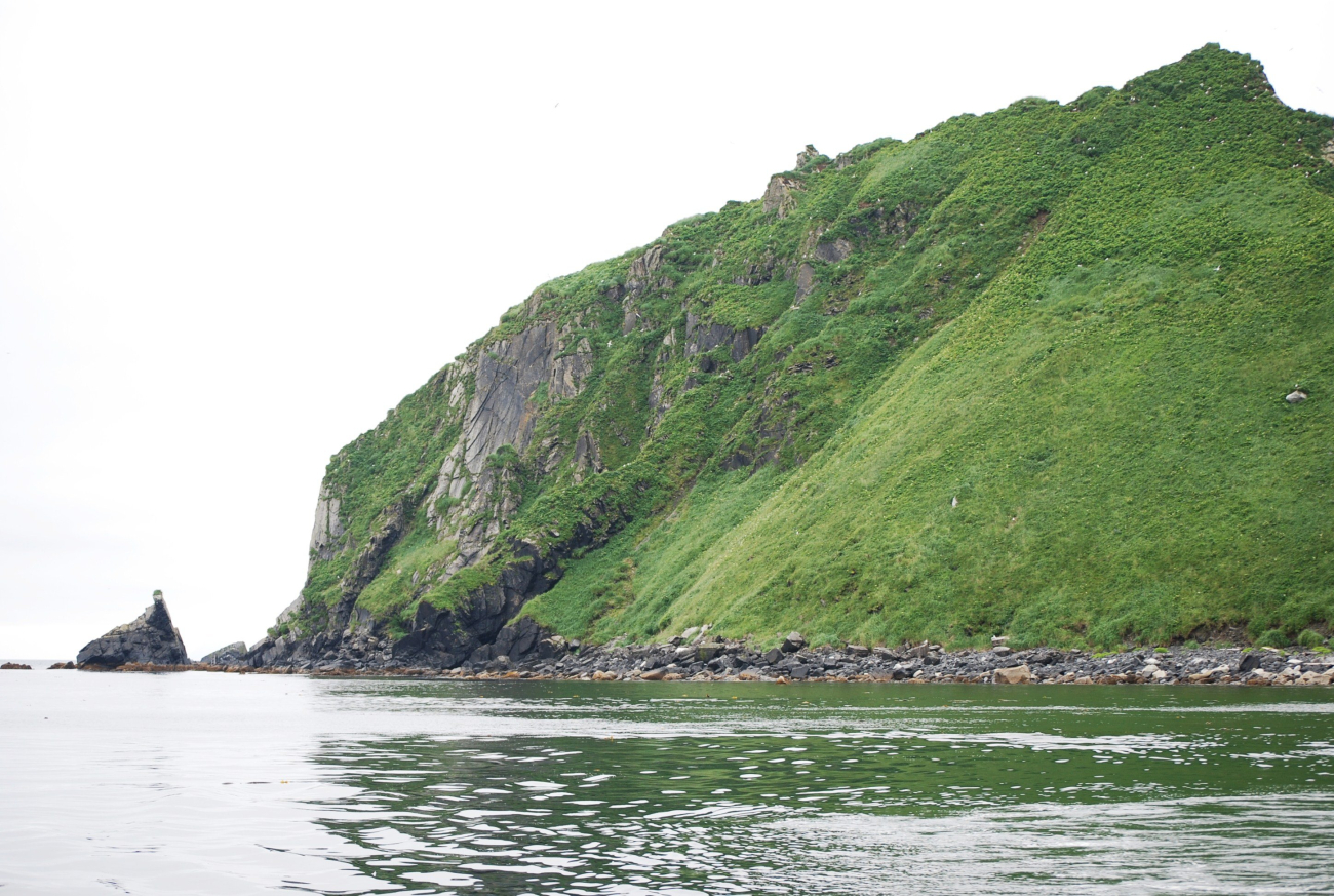 The white specks in the green are sea birds seen on Big Koniuji Island