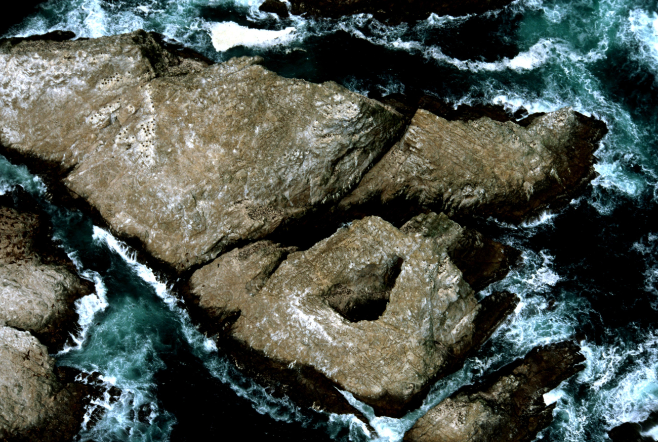 Wave sculpted rocks of the Farallons