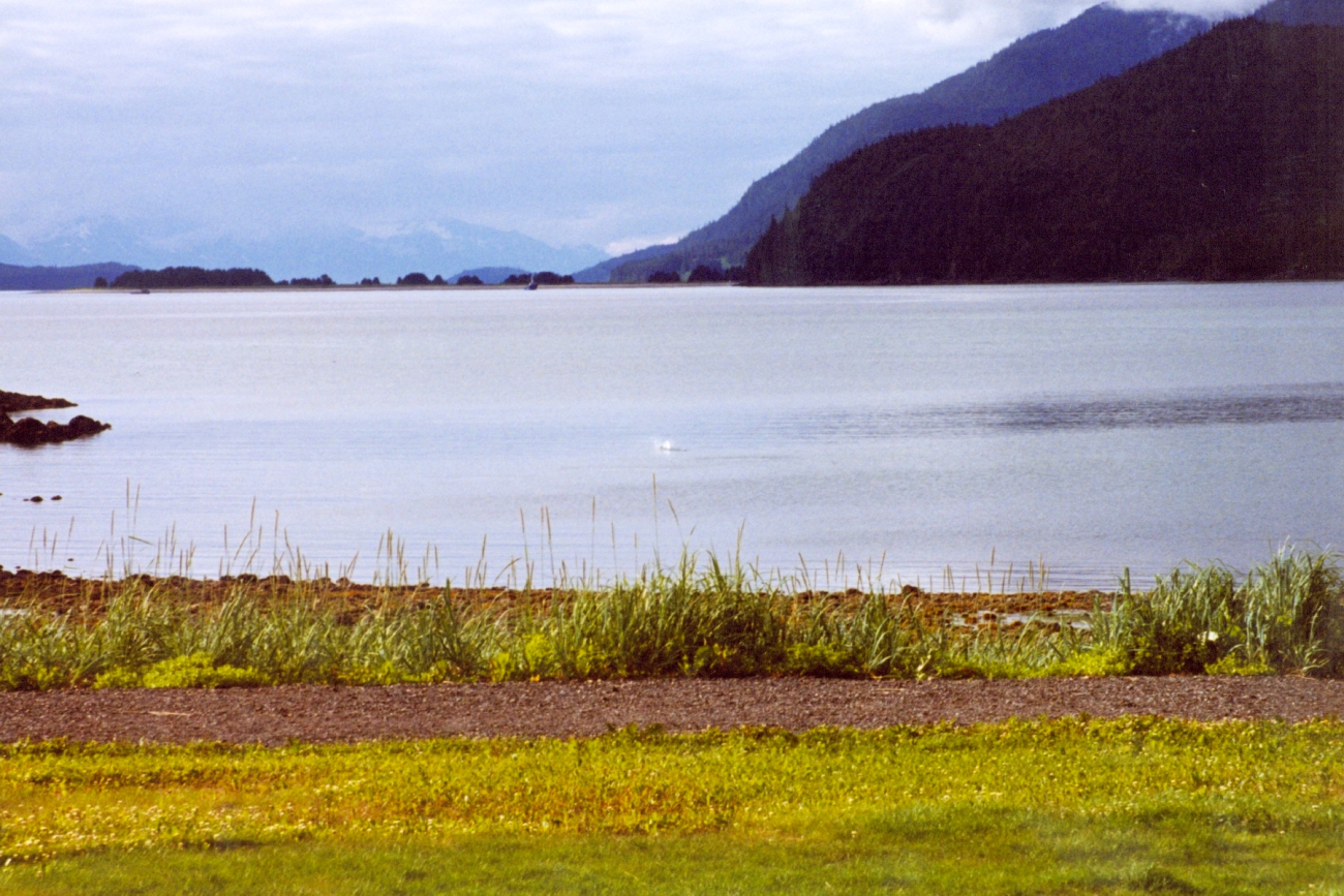 A placid bay in Southeast Alaska