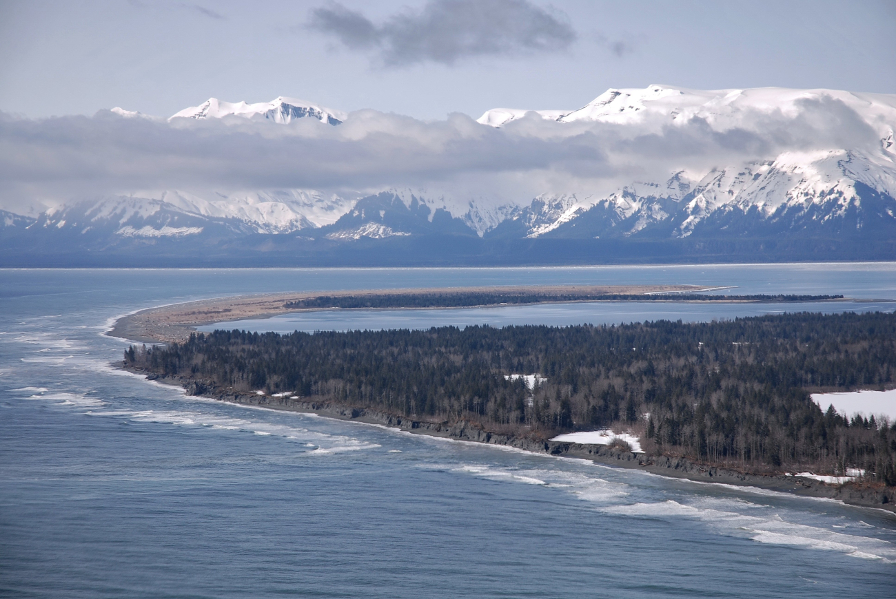 An aerial view of the south entrance to Icy Bay showing the great sandspit andthe endless surf of the Gulf of Alaska