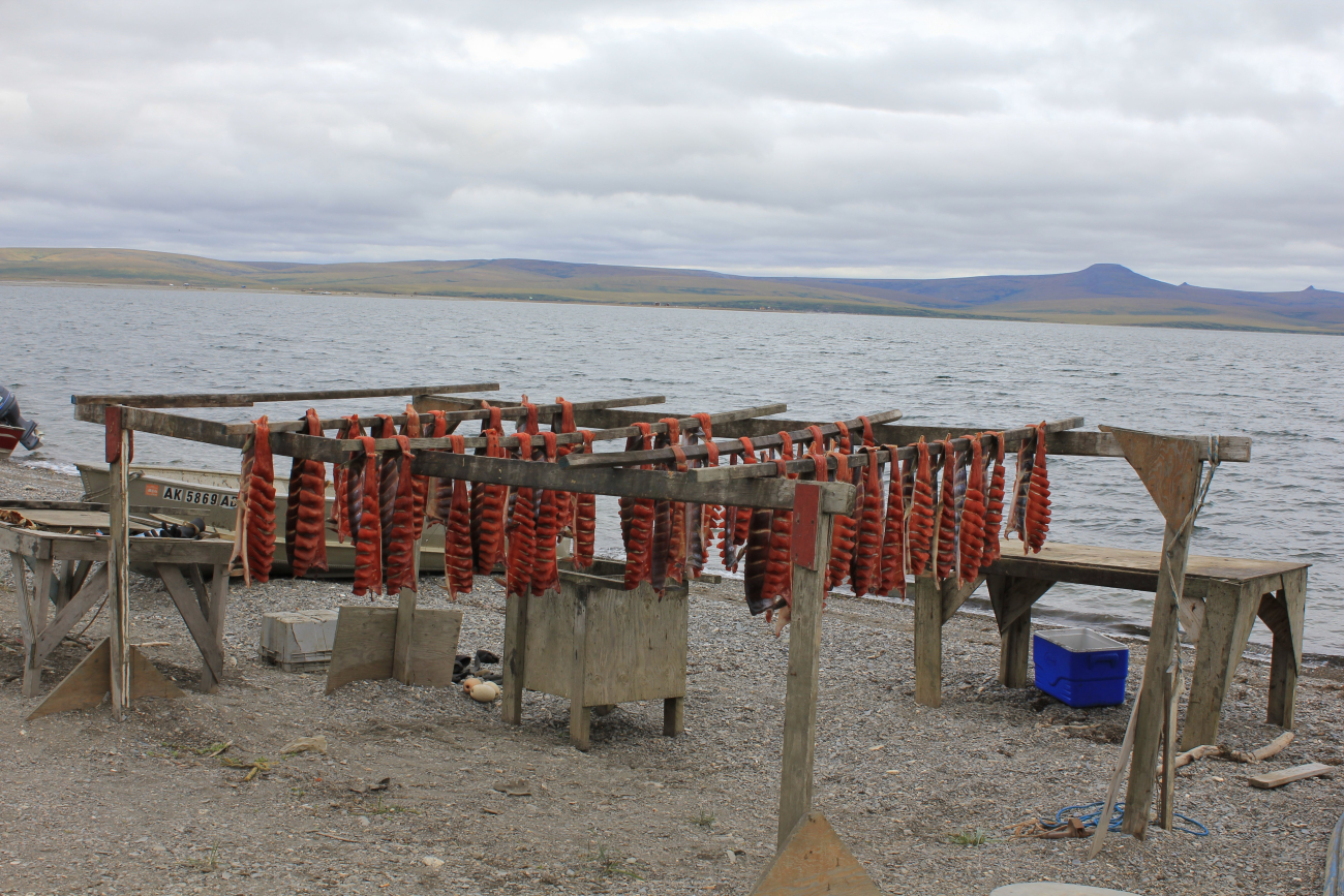 Fish drying racks