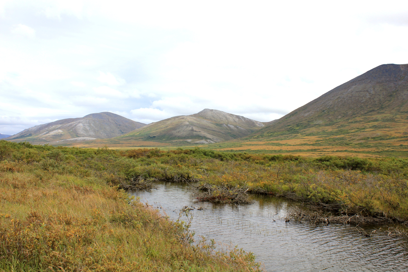 A small stream leading to Salmon Lake north of Nome